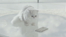 Galaxy S6 and S6 edge Clear View cover can even wow cats