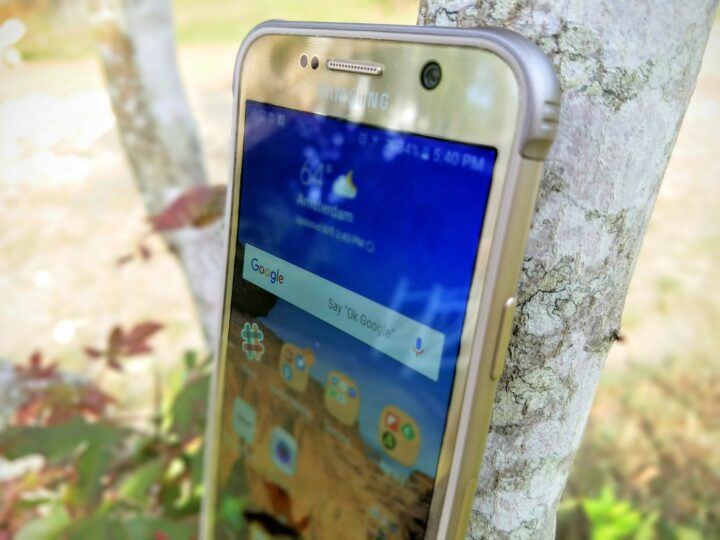 Galaxy S7 Active sitting in the tree