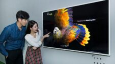 Samsung raises awareness for endangered animals with its Frame TV