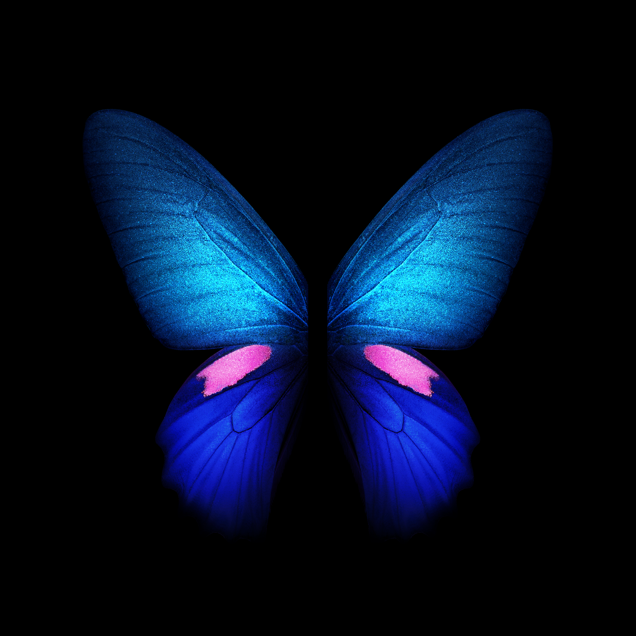 Notch Wallpapers Collection for Samsung Galaxy Fold  Amoledin
