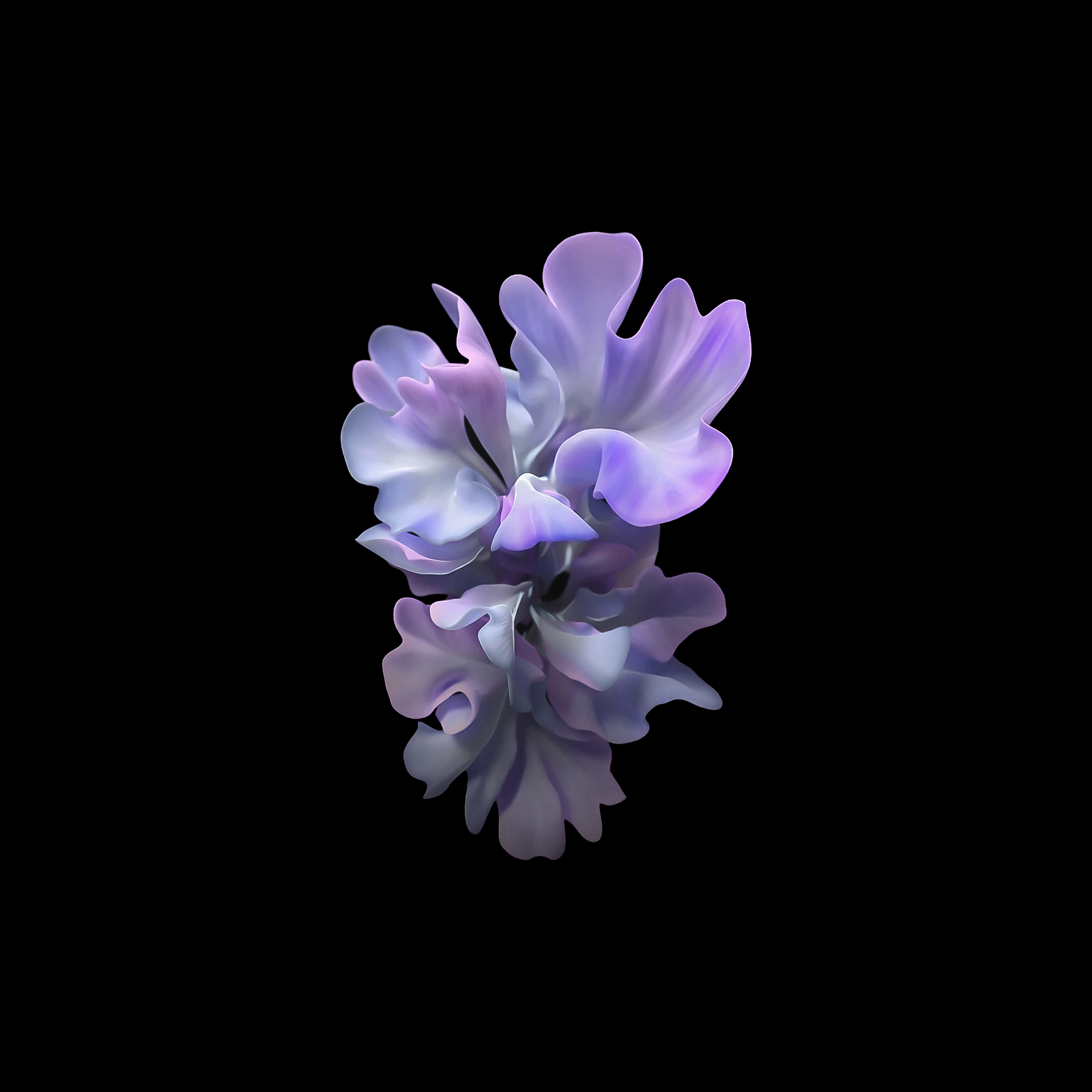 Download Samsung Galaxy S20 Blue Dahlia Flower Wallpaper  Wallpaperscom