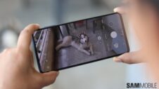 Dog photos are stopping me from jumping to Samsung’s foldables