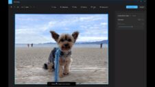 Photos app on Windows 11 gets Gen AI for object removal