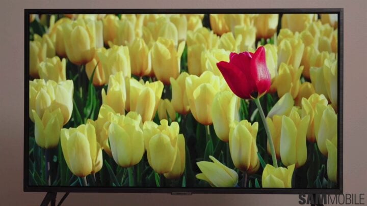 Samsung Q60D TV review