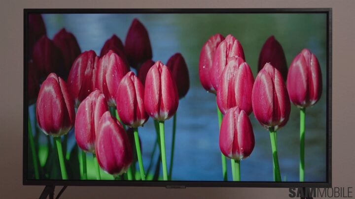 Samsung Q60D TV review