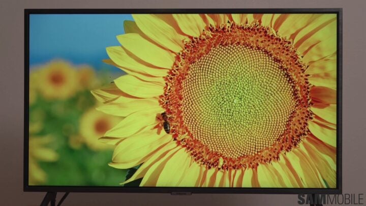 Samsung Q60D TV review