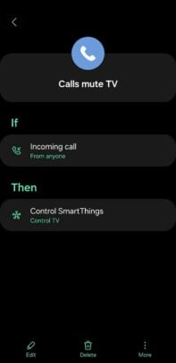 A screenshot of the mute TV on call routine 2/2.